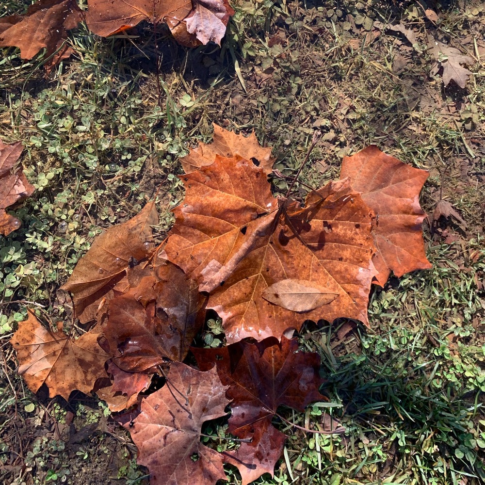 Meet your Posher, Brycen